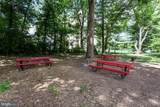 6137 Leesburg Pike - Photo 34