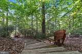 11522 Stirrup Lane - Photo 49