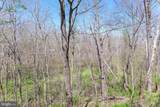 20717 Waterfall Branch Terrace - Photo 43