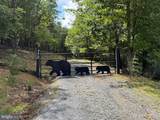 770 Staubwoods Drive - Photo 11
