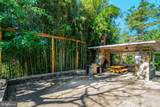 3714 Hummer Road - Photo 66