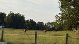 Lot 7 Ancient Oaks Court - Photo 12