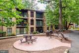 2055 Royal Fern Court - Photo 42