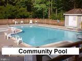 102 Canvasback Lane - Photo 41