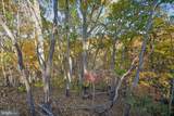 598 Timber Lane - Photo 11