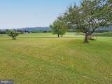 7929 Path Valley Road - Photo 5