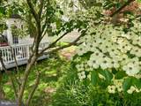 241 Breezewood Drive - Photo 49