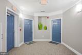 24636 Woolly Mammoth Terrace - Photo 10