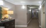 24636 Woolly Mammoth Terrace - Photo 9