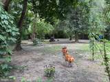 108 Brooklyn Avenue - Photo 48