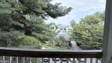 3908 Penderview Drive - Photo 20