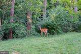 3880 Rodman Street - Photo 32