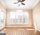 204 Secretariat Drive - Photo 16