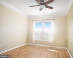 204 Secretariat Drive - Photo 29