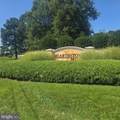 4002 Fullerton Court - Photo 1