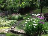8401 Triple Crown Road - Photo 9