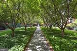 520 John Carlyle Street - Photo 10