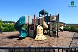 2793 Golden Aster Place - Photo 48