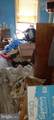 54 Collom Street - Photo 2