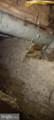 54 Collom Street - Photo 5