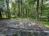 11717 Happy Choice Lane - Photo 13