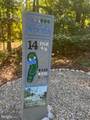 112 Tallwood Trl Trail - Photo 4