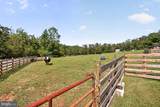 1886 Lutz Hollow - Photo 46