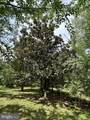 300 Mount Olive Road - Photo 49
