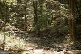 268 Stoney Brook Lane - Photo 77