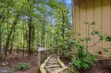 51 Forrest Street - Photo 62