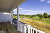 26458 Isabelle Drive - Photo 48