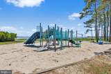 34933 Halyard - Photo 31