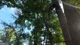 8849 Us Hwy 340N - Photo 57