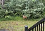 1272 Battlefield Road - Photo 39