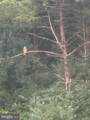 1272 Battlefield Road - Photo 41