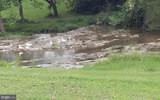 1272 Battlefield Road - Photo 46