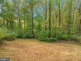 175 Scarlet Tanager Lane - Photo 32