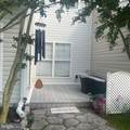 29658 Cobblestone Way - Photo 41