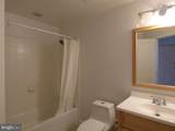 43595 Mink Meadows (Lower Level) Street - Photo 6