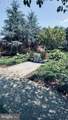 3021 Buchanan Street - Photo 50