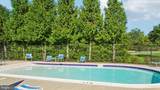 8164 American Holly Road - Photo 34