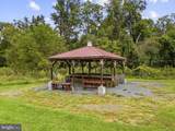 41255 Annas Lane - Photo 53