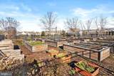 10 Sparrow Drive - Photo 41