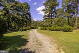 19564 Louisa Road - Photo 36