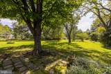 19564 Louisa Road - Photo 39
