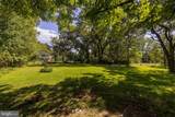 19564 Louisa Road - Photo 40