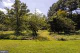 19564 Louisa Road - Photo 43
