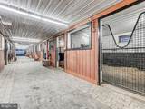16116 Carroll Road - Photo 69
