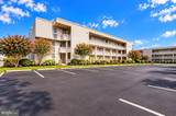 510 Penguin Drive - Photo 23