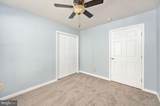 3329 Viola Way - Photo 40
